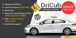 DriCub wordPress Theme