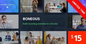 Roneous WordPress Theme