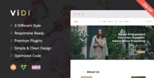 ViDi WordPress Theme