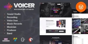 Voicer wordPress Theme