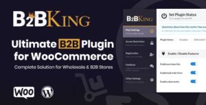 B2BKing Plugin