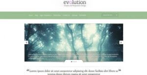 Evolution Premium WordPress Theme