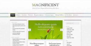 Magnificient Premium WordPress Theme