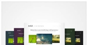 Modest Premium WordPress Theme