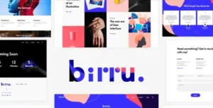 Birru - Simple Portfolio Elementor Template Kit