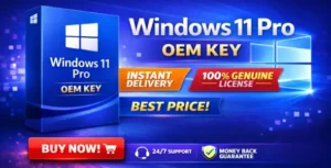 Windows 11 Pro OEM Key